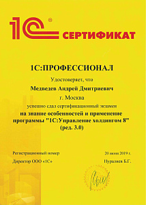 Медведев ПРОФ по Управлению холдингом